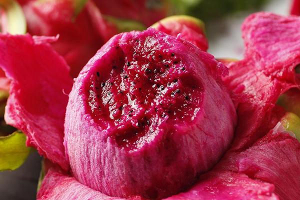 吃火龍果拉肚子是什么原因 吃火龍果對(duì)身體有什么好處 吃火龍果拉肚子是什么原因 吃火龍果對(duì)身體有什么好處