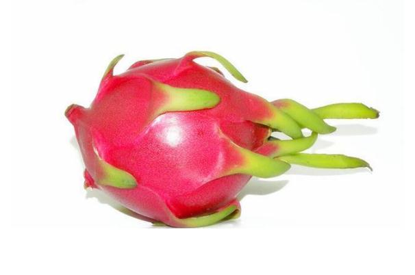 吃火龍果拉肚子是什么原因 吃火龍果對(duì)身體有什么好處 吃火龍果拉肚子是什么原因 吃火龍果對(duì)身體有什么好處