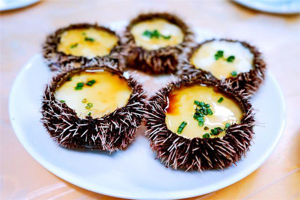 海膽蒸蛋事件 海膽蒸蛋事件最新進展 海膽蒸蛋事件 海膽蒸蛋事件最新進展