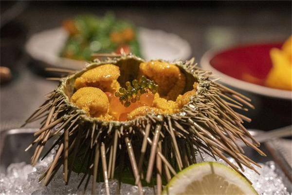 海膽什么季節(jié)吃最好 海膽怎么挑選 海膽什么季節(jié)吃最好 海膽怎么挑選