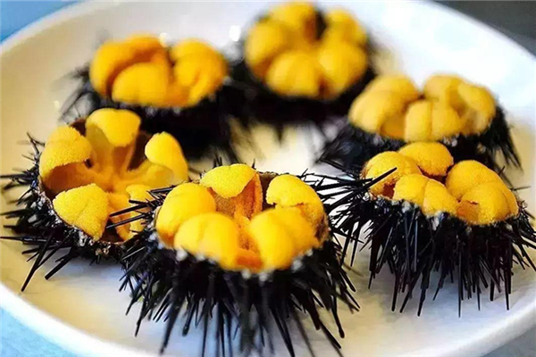 海膽怎么吃 海膽好吃嗎 海膽怎么吃 海膽好吃嗎