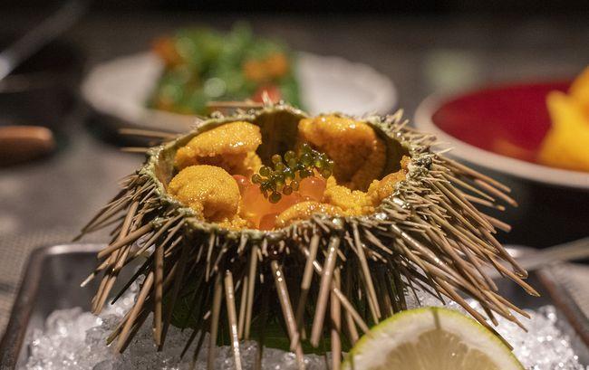 海膽蒸蛋事件 海膽蒸蛋事件最新進展 海膽蒸蛋事件 海膽蒸蛋事件最新進展