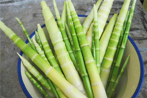 新鮮竹筍應(yīng)該怎么處理 新鮮竹筍怎么去苦澀味 新鮮竹筍應(yīng)該怎么處理 新鮮竹筍怎么去苦澀味