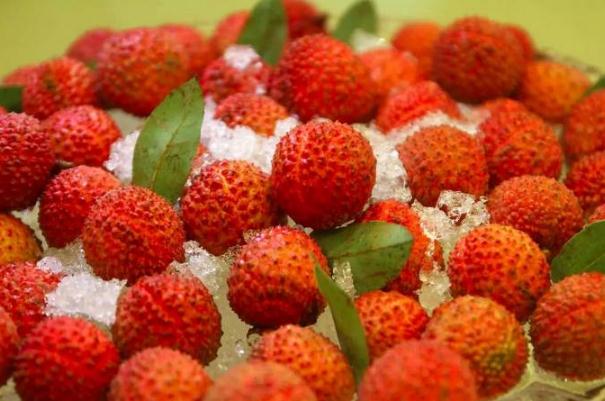 荔枝可以釀酒嗎 荔枝酒制作方法 荔枝可以釀酒嗎 荔枝酒制作方法