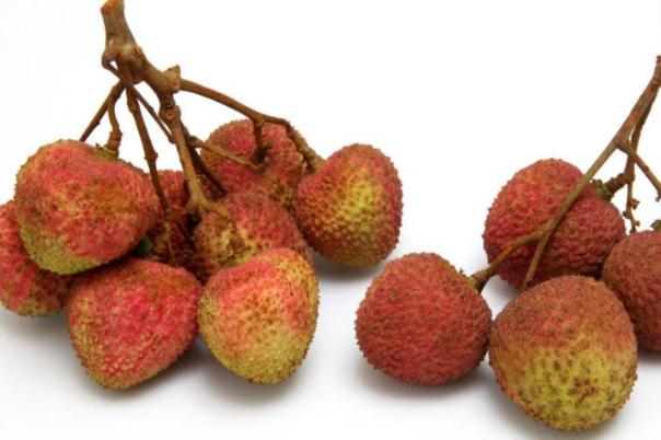 荔枝多吃會上火嗎 如何吃荔枝不上火 荔枝多吃會上火嗎 如何吃荔枝不上火