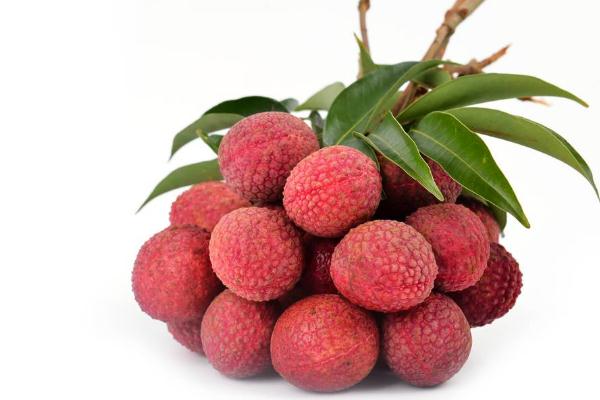 荔枝是什么季節(jié)的水果 荔枝幾月份成熟 荔枝是什么季節(jié)的水果 荔枝幾月份成熟