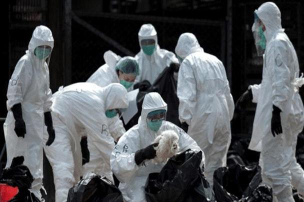 印度疫情真實情況曝光 超過一億人確診 印度疫情真實情況曝光 超過一億人確診