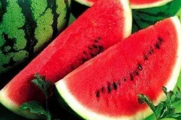吃西瓜會拉紅色大便嗎 吃西瓜會長痘痘嗎 吃西瓜會拉紅色大便嗎 吃西瓜會長痘痘嗎