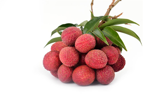 荔枝什么季節(jié)吃 荔枝怎么挑選核小的 荔枝什么季節(jié)吃 荔枝怎么挑選核小的