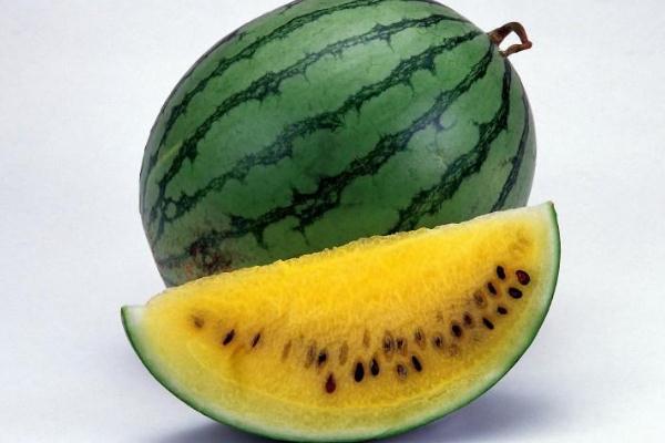 西瓜可以放多長時(shí)間 什么樣的西瓜耐儲存 西瓜可以放多長時(shí)間 什么樣的西瓜耐儲存