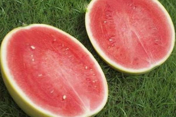 西瓜可以放多長時(shí)間 什么樣的西瓜耐儲存 西瓜可以放多長時(shí)間 什么樣的西瓜耐儲存