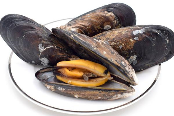 假期去海邊不要食用海虹 海虹有毒嗎 假期去海邊不要食用海虹 海虹有毒嗎