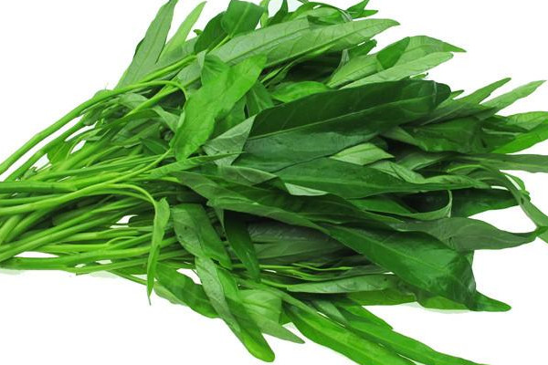 吃空心菜會腹瀉嗎 空心菜胃不好的可以吃嗎 吃空心菜會腹瀉嗎 空心菜胃不好的可以吃嗎