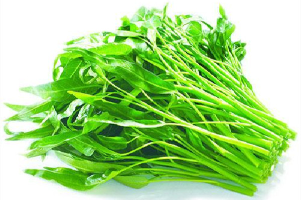 空心菜降血壓血糖嗎 空心菜的功效和作用 空心菜降血壓血糖嗎 空心菜的功效和作用