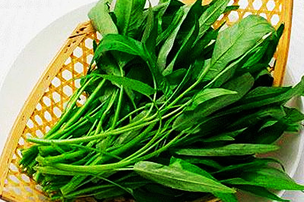 空心菜怎么摘菜 空心菜怎么炒好吃 空心菜怎么摘菜 空心菜怎么炒好吃