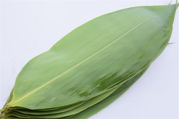 為什么用箬葉包粽子 粽葉有什么功效 為什么用箬葉包粽子 粽葉有什么功效