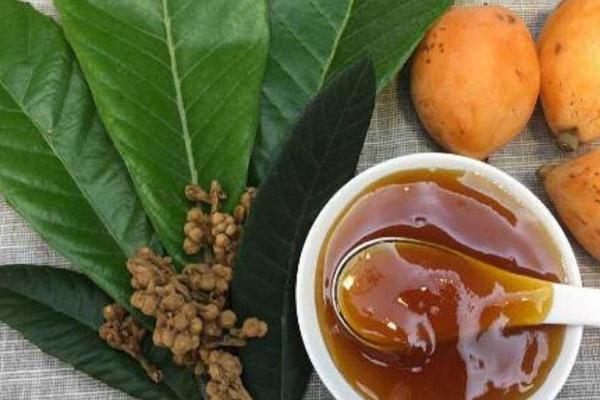 枇杷葉的食用方法 枇杷葉的副作用 枇杷葉的食用方法 枇杷葉的副作用