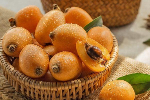 吃枇杷可以治咳嗽嗎 直接吃枇杷果能治咳嗽嗎 吃枇杷可以治咳嗽嗎 直接吃枇杷果能治咳嗽嗎