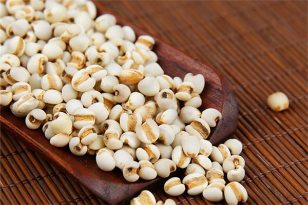 薏米祛濕茶什么時候喝好 薏米祛濕茶可以天天喝嗎 薏米祛濕茶什么時候喝好 薏米祛濕茶可以天天喝嗎