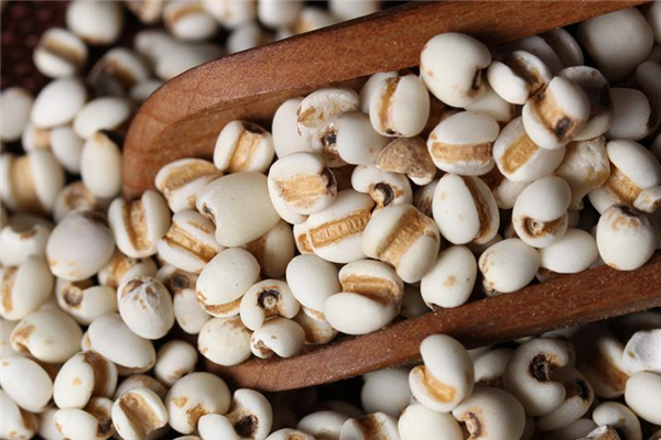 薏米可以打成豆?jié){喝嗎 薏米每次吃多少合適 薏米可以打成豆?jié){喝嗎 薏米每次吃多少合適