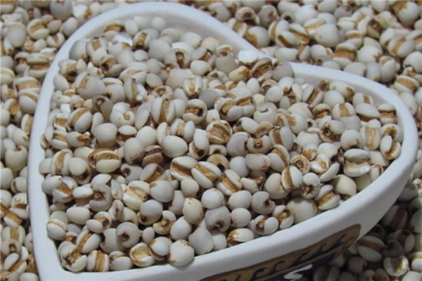 薏米可以打成豆?jié){喝嗎 薏米每次吃多少合適 薏米可以打成豆?jié){喝嗎 薏米每次吃多少合適