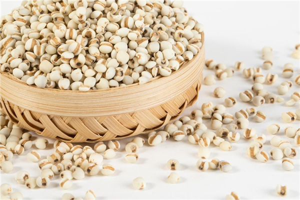 薏米需要炒嗎 薏米需要炒多久 薏米需要炒嗎 薏米需要炒多久