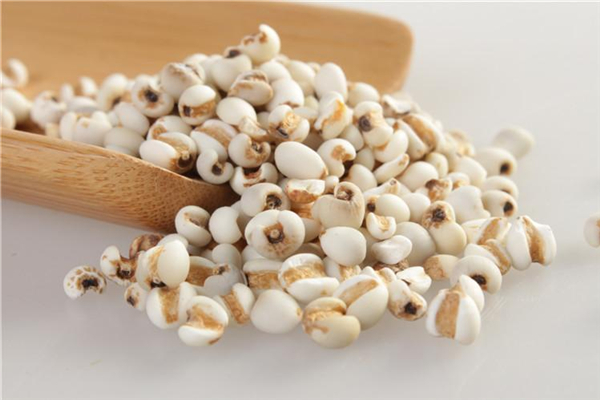 薏米需要炒嗎 薏米需要炒多久 薏米需要炒嗎 薏米需要炒多久