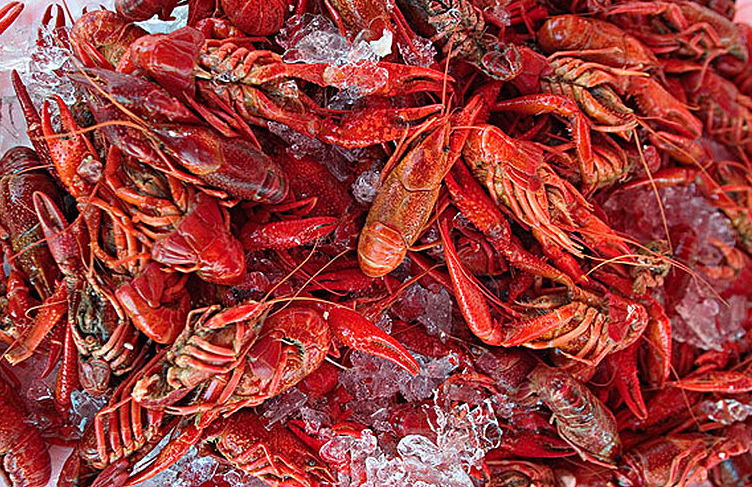 小龍蝦怎么判斷熟沒(méi)熟 小龍蝦煮多久才熟 小龍蝦怎么判斷熟沒(méi)熟 小龍蝦煮多久才熟