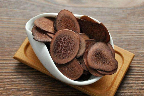 鹿茸是什么東西 鹿茸是公鹿還是母鹿 鹿茸是什么東西 鹿茸是公鹿還是母鹿