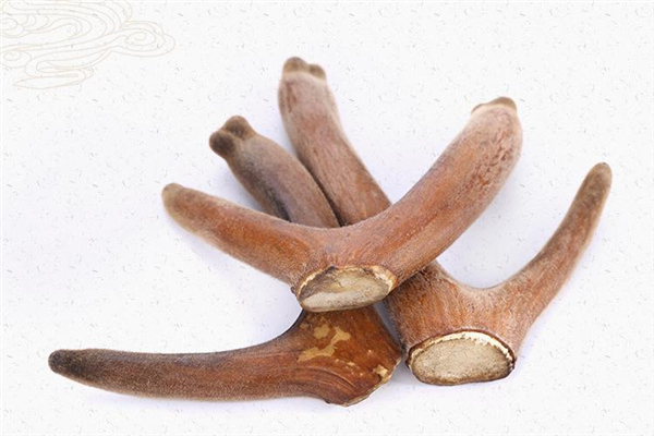 假鹿茸是什么做的 假鹿茸對(duì)人體有什么傷害 假鹿茸是什么做的 假鹿茸對(duì)人體有什么傷害