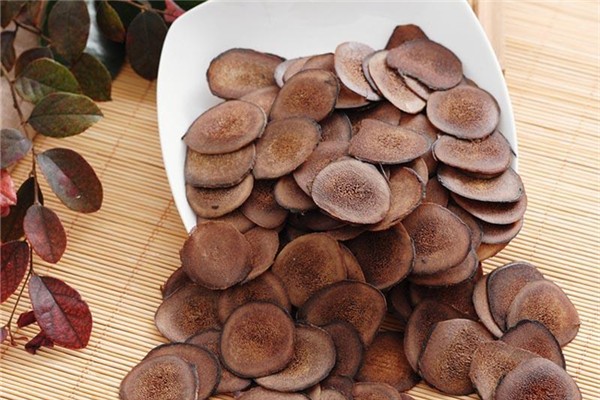 鹿茸對(duì)男性有什么幫助 鹿茸能提高性功能嗎 鹿茸對(duì)男性有什么幫助 鹿茸能提高性功能嗎