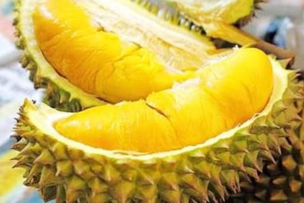 榴蓮吃了會長胖嗎 榴蓮的熱量高不高 榴蓮吃了會長胖嗎 榴蓮的熱量高不高