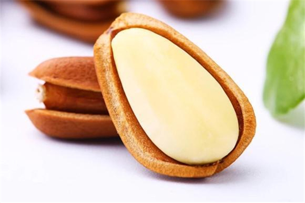 松子怎么辨別好壞 松子怎么挑選 松子怎么辨別好壞 松子怎么挑選