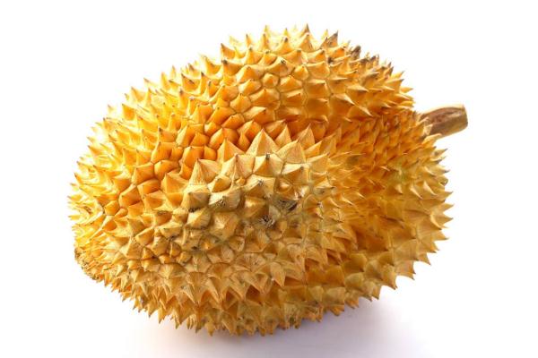 榴蓮是什么季節(jié)的水果 榴蓮是熱性還是涼性 榴蓮是什么季節(jié)的水果 榴蓮是熱性還是涼性