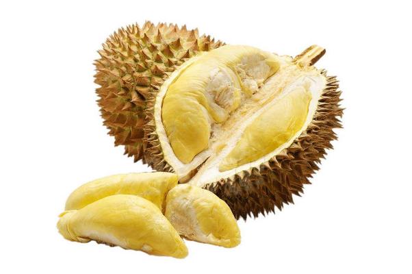 榴蓮是什么季節(jié)的水果 榴蓮是熱性還是涼性 榴蓮是什么季節(jié)的水果 榴蓮是熱性還是涼性