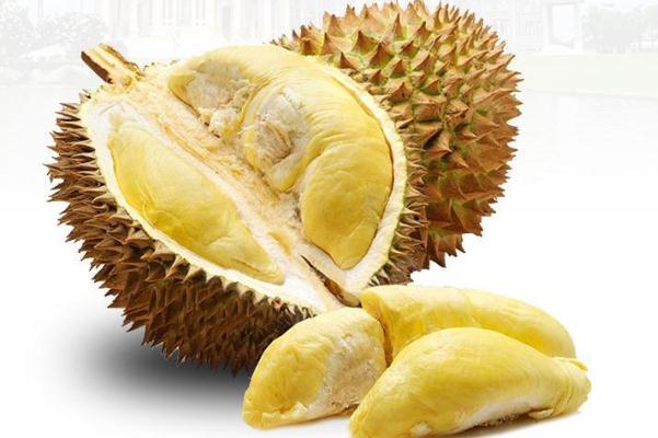 榴蓮的功效與作用禁忌 榴蓮吃多了會怎么樣 榴蓮的功效與作用禁忌 榴蓮吃多了會怎么樣