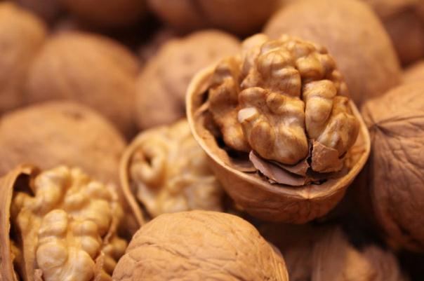 核桃真的能補腦嗎 核桃可以補腎嗎 核桃真的能補腦嗎 核桃可以補腎嗎