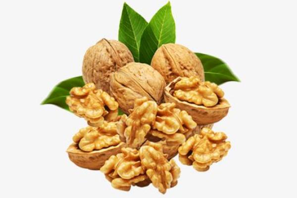 核桃能放多長(zhǎng)時(shí)間 核桃肉放久了會(huì)怎么樣 核桃能放多長(zhǎng)時(shí)間 核桃肉放久了會(huì)怎么樣