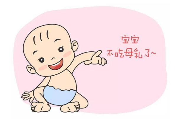 嬰兒斷奶的最佳時期 嬰兒斷奶的最佳方法 嬰兒斷奶的最佳時期 嬰兒斷奶的最佳方法