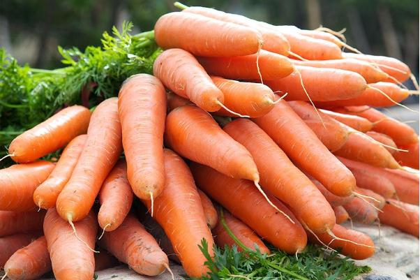 胡蘿卜能生吃嗎 生吃胡蘿卜的好處 胡蘿卜能生吃嗎 生吃胡蘿卜的好處