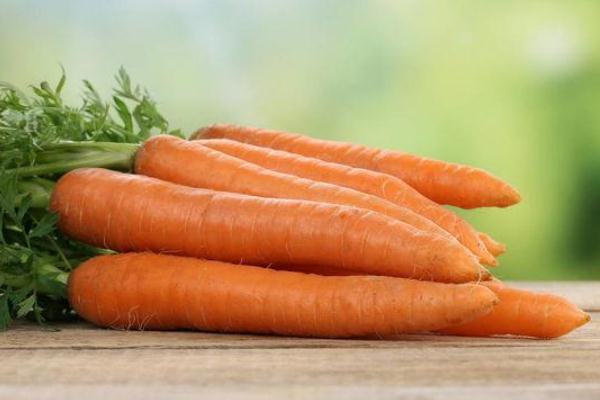胡蘿卜可以天天吃嗎 胡蘿卜吃太多的弊端 胡蘿卜可以天天吃嗎 胡蘿卜吃太多的弊端