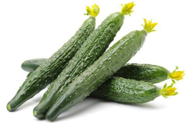 黃瓜的功效與作用 黃瓜的營養(yǎng)價值 黃瓜的功效與作用 黃瓜的營養(yǎng)價值