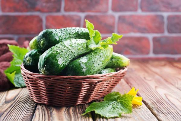 黃瓜要怎么保存 黃瓜要放冰箱保存嗎 黃瓜要怎么保存 黃瓜要放冰箱保存嗎