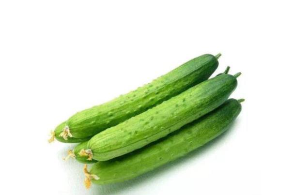 黃瓜是幾月份的應(yīng)季蔬菜 黃瓜是水果還是蔬菜 黃瓜是幾月份的應(yīng)季蔬菜 黃瓜是水果還是蔬菜