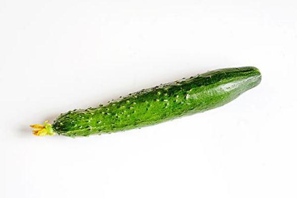 黃瓜的功效與作用 黃瓜的營養(yǎng)價值 黃瓜的功效與作用 黃瓜的營養(yǎng)價值