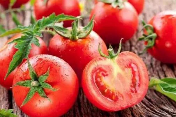 西紅柿生吃的功效與作用 西紅柿生吃的好處 西紅柿生吃的功效與作用 西紅柿生吃的好處