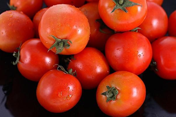 西紅柿能和羊肉一起吃嗎 西紅柿能和西瓜一起吃嗎 西紅柿能和羊肉一起吃嗎 西紅柿能和西瓜一起吃嗎