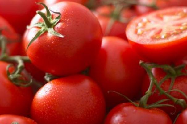 西紅柿生吃還是熟吃有營養(yǎng) 西紅柿生吃能減肥嗎 西紅柿生吃還是熟吃有營養(yǎng) 西紅柿生吃能減肥嗎