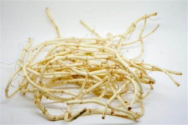 魚腥草可以治咳嗽嗎 魚腥草可以天天吃嗎 魚腥草可以治咳嗽嗎 魚腥草可以天天吃嗎