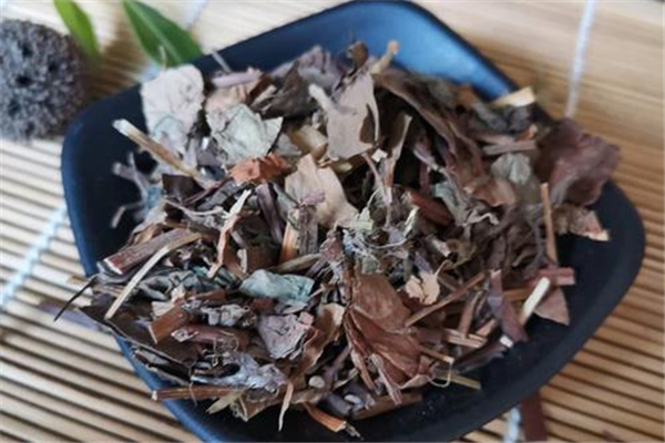 魚腥草怎么泡水 魚腥草泡水是新鮮的好還是干的好 魚腥草怎么泡水 魚腥草泡水是新鮮的好還是干的好